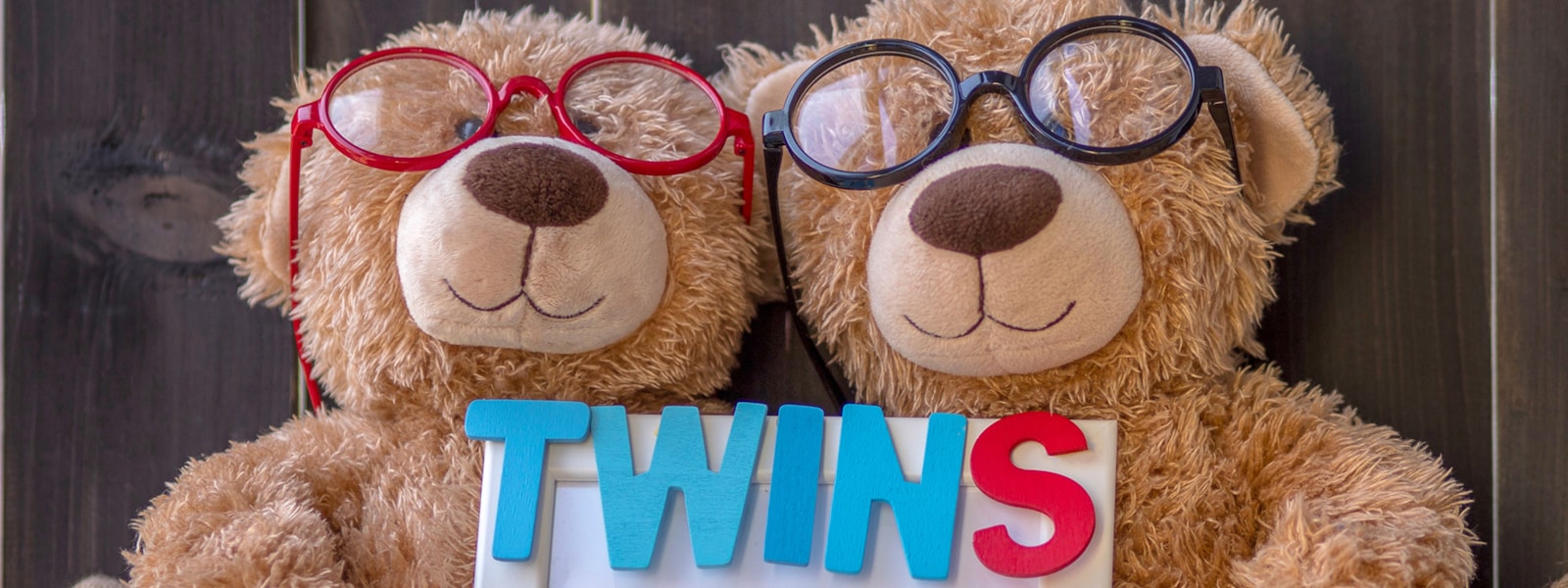 Bears that are twins 