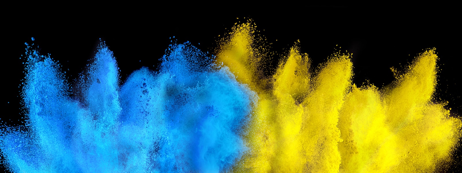 blue and yellow paint