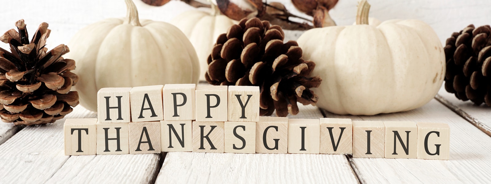 Happy Thanksgiving  message with pumpkins and pinecones