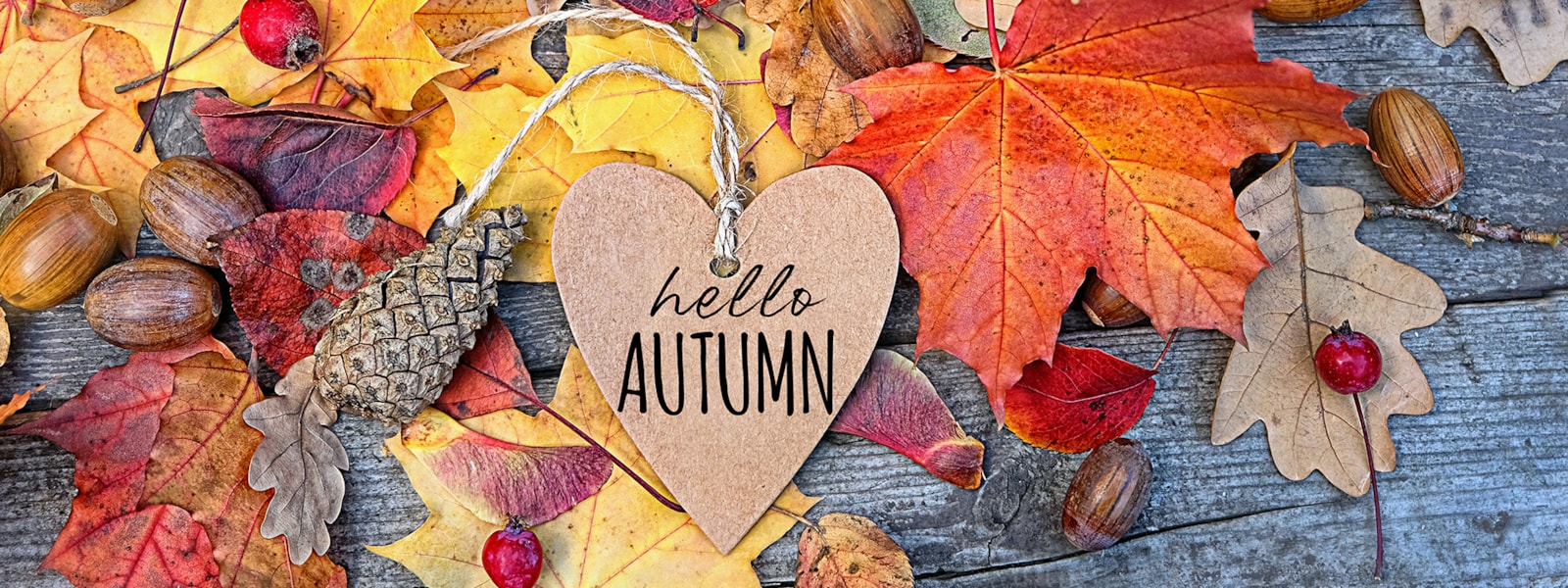 leaves on a table with hello Autumn written on a heart.