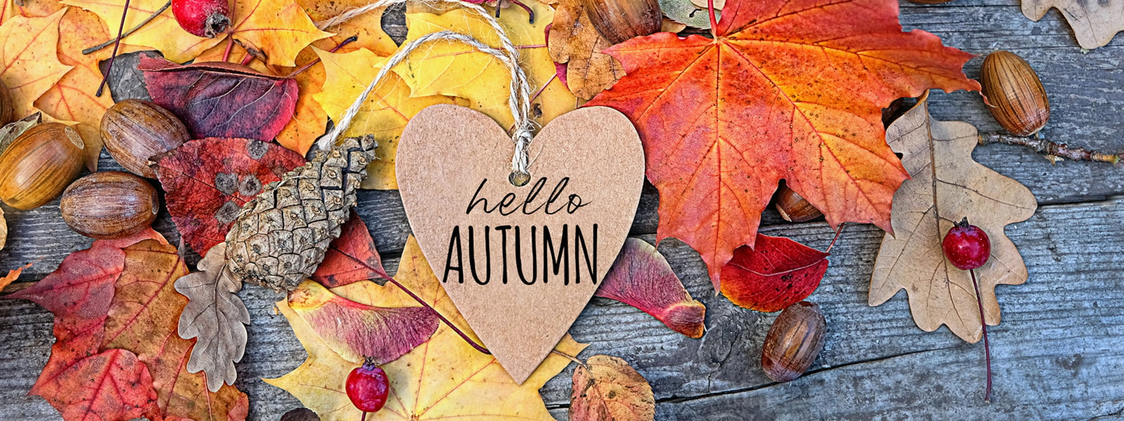 leaves with hello autumn heart 