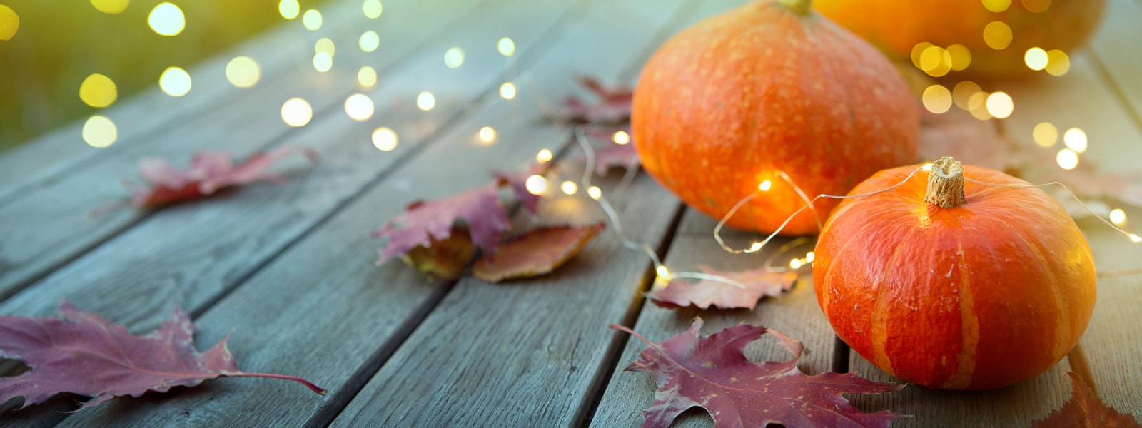 pumpkins, lights, and leaves on a table