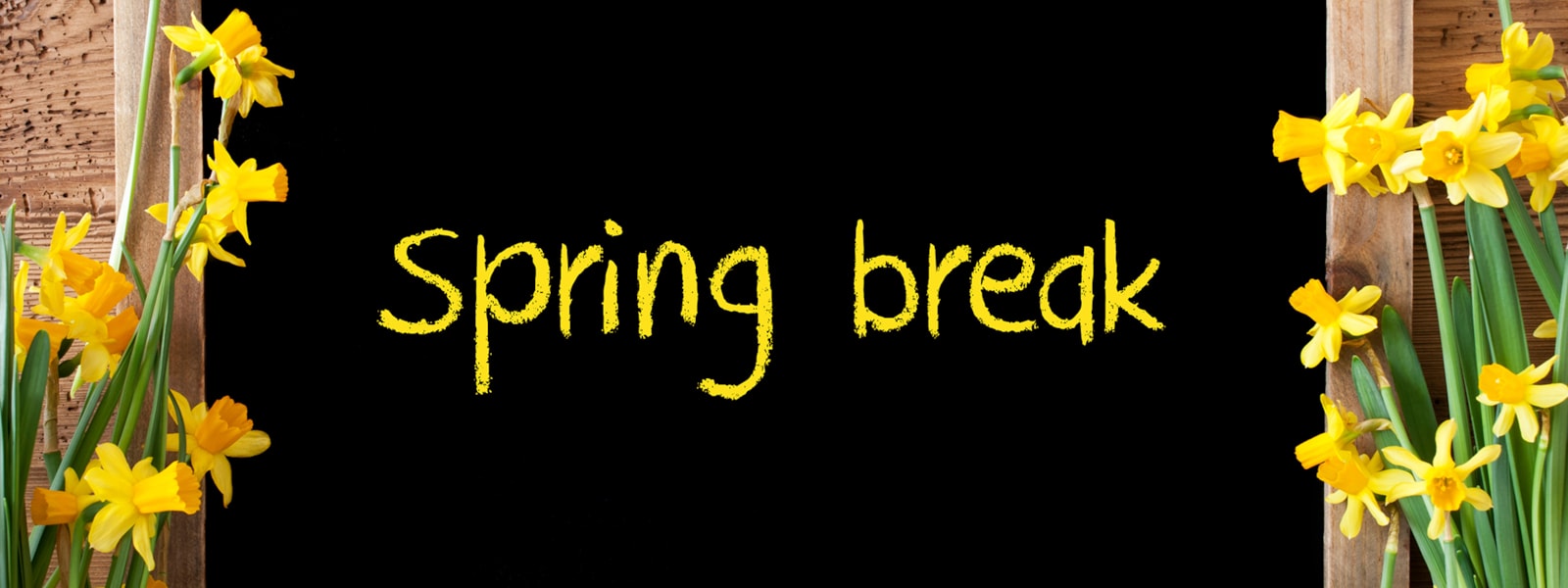 Spring Break, March 18th to March 22nd, No School