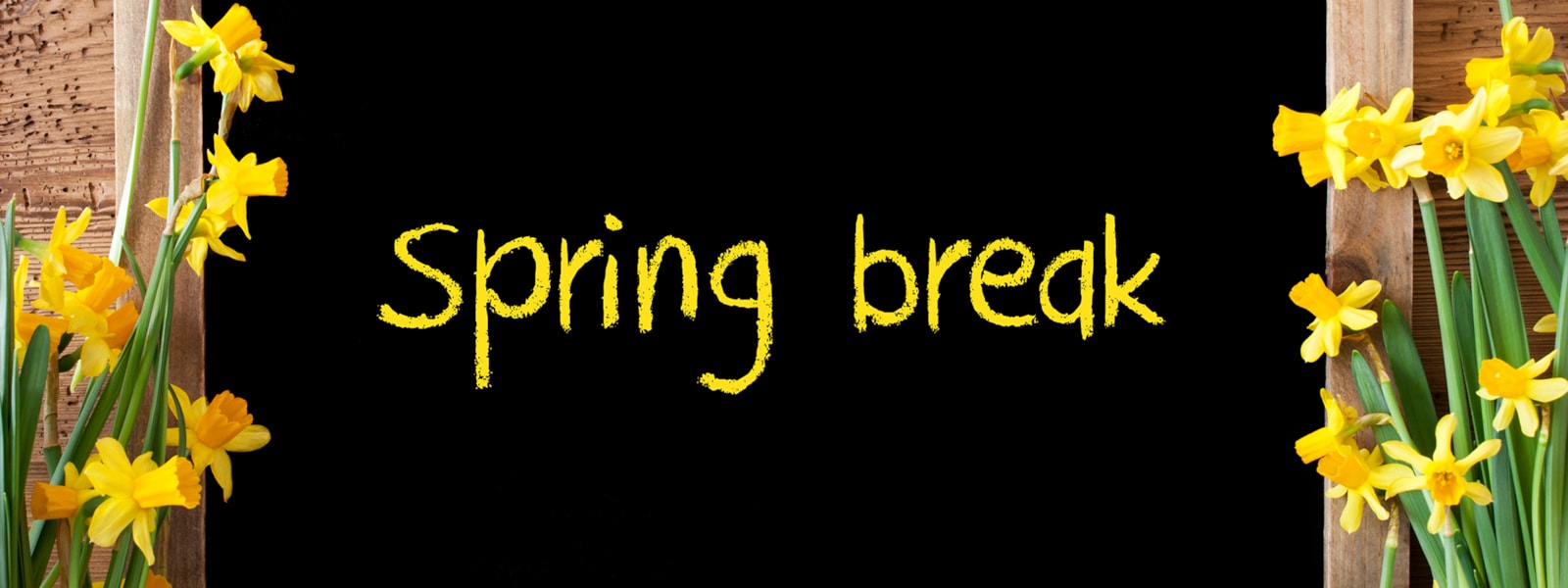 flowers with the words spring break
