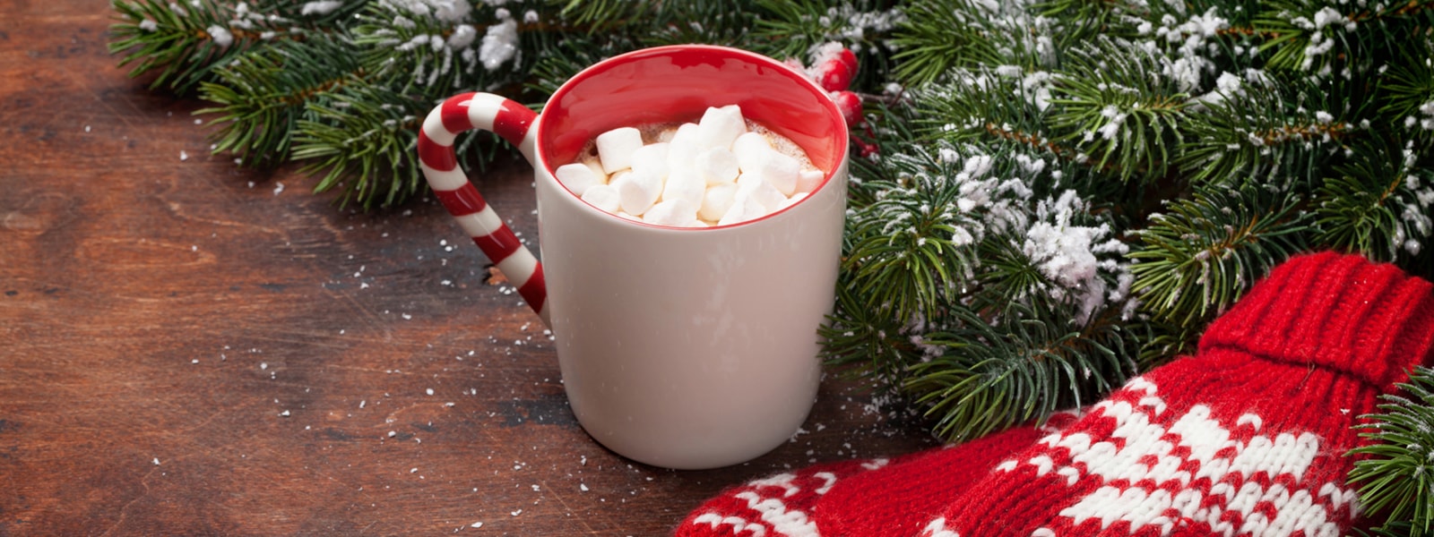 Hot chocolate, evergreen and mitten 
