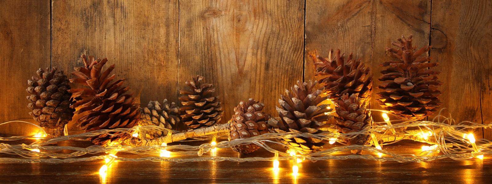 pinecones and string of lights