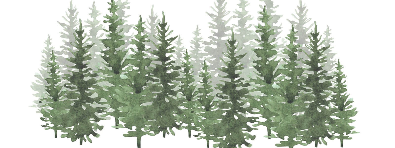 painted trees