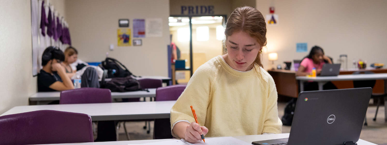 High School student sitting at a desk working on a laptop in ischool class.