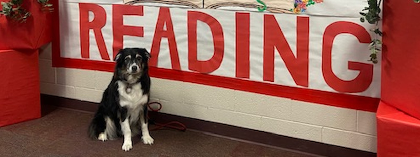 Therapy dog standing in front of reading poster