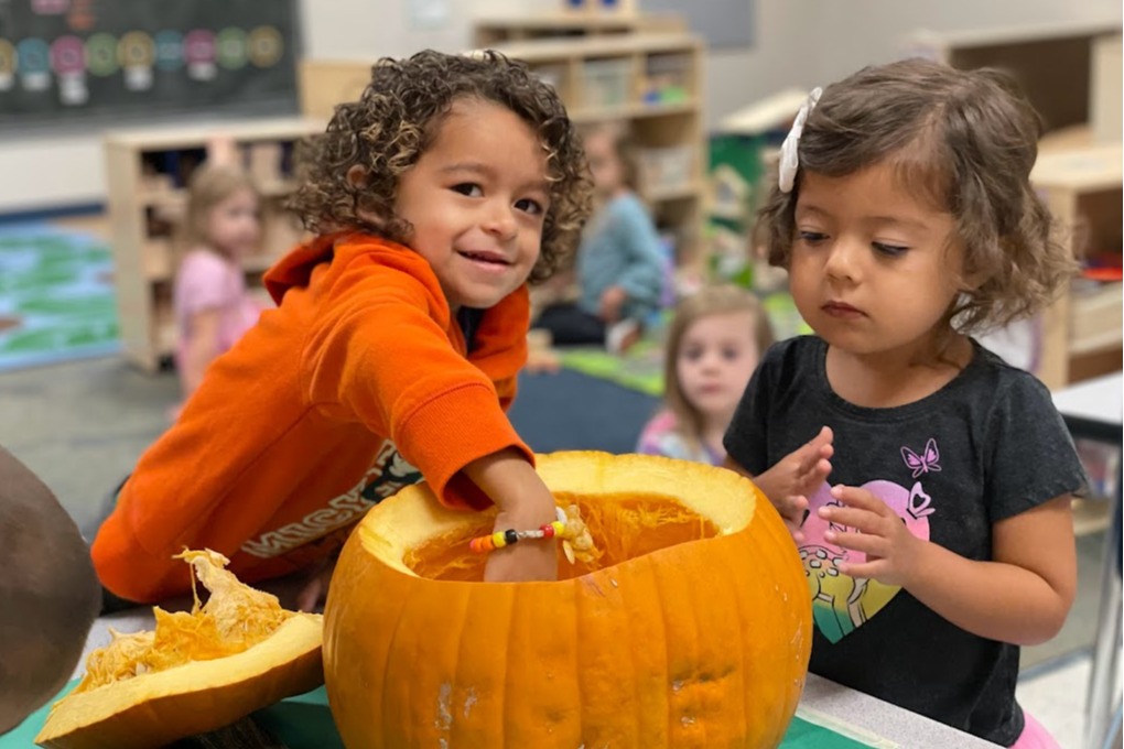 Preschool pumpkin exploration