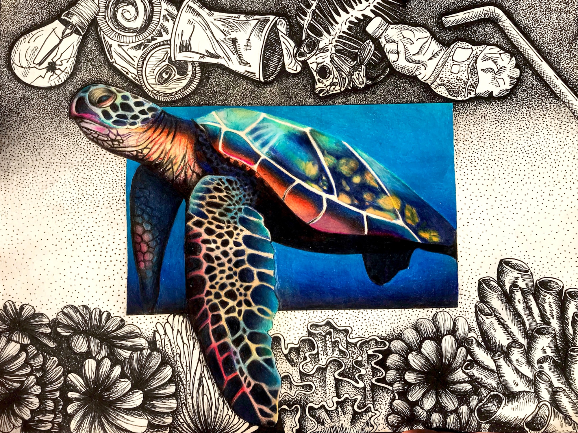 Students artwork featuring a turtle. 